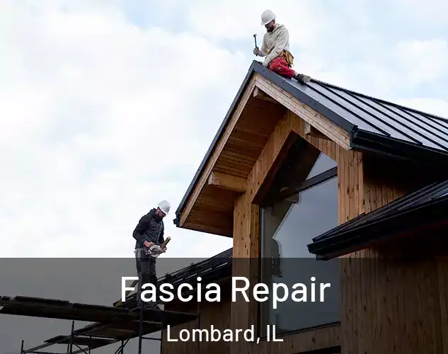  Fascia Repair Lombard, IL