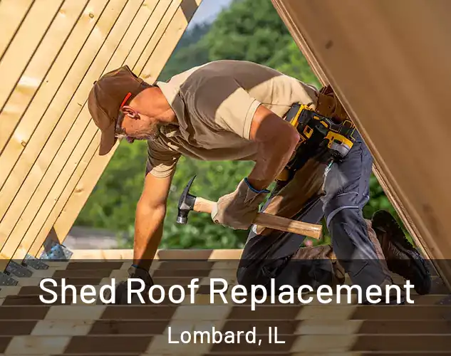  Shed Roof Replacement Lombard, IL